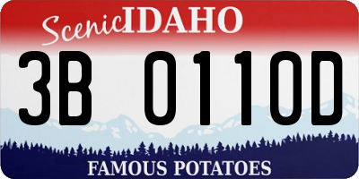 ID license plate 3B0110D