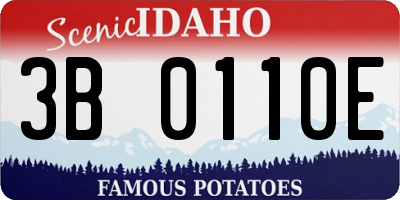 ID license plate 3B0110E