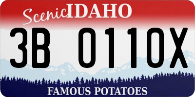 ID license plate 3B0110X