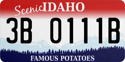 ID license plate 3B0111B