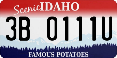 ID license plate 3B0111U