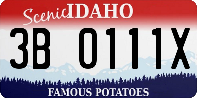 ID license plate 3B0111X