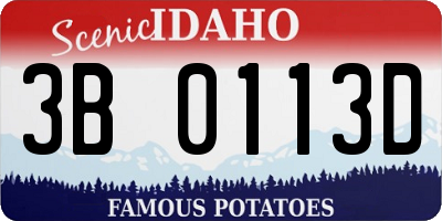ID license plate 3B0113D