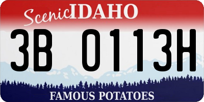 ID license plate 3B0113H