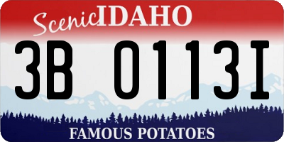 ID license plate 3B0113I