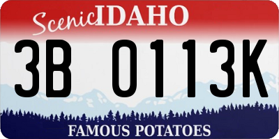 ID license plate 3B0113K
