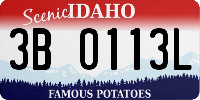 ID license plate 3B0113L