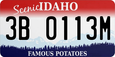 ID license plate 3B0113M