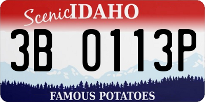ID license plate 3B0113P