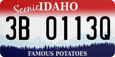ID license plate 3B0113Q