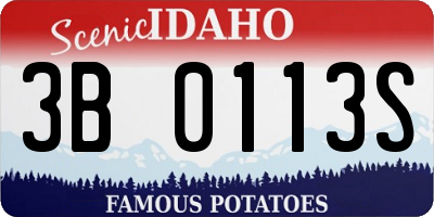 ID license plate 3B0113S