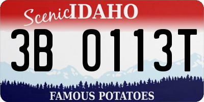 ID license plate 3B0113T