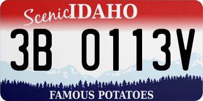 ID license plate 3B0113V