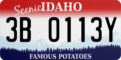 ID license plate 3B0113Y