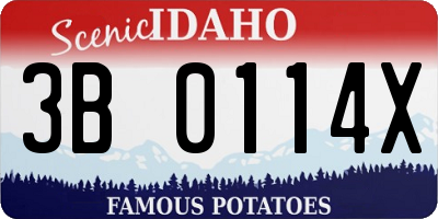 ID license plate 3B0114X