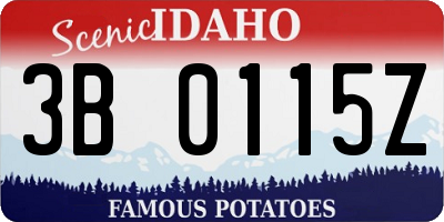 ID license plate 3B0115Z