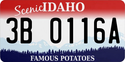 ID license plate 3B0116A