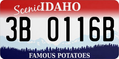 ID license plate 3B0116B