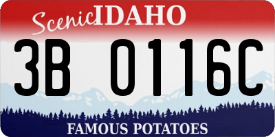 ID license plate 3B0116C