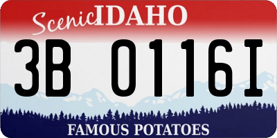 ID license plate 3B0116I