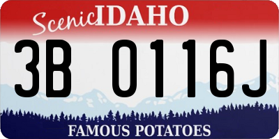 ID license plate 3B0116J