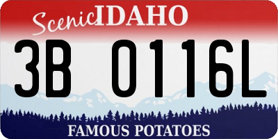 ID license plate 3B0116L