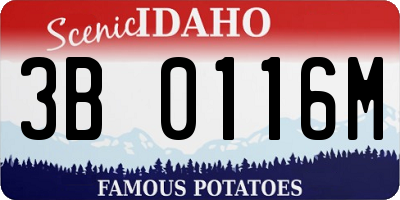 ID license plate 3B0116M
