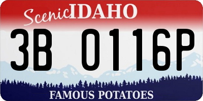 ID license plate 3B0116P