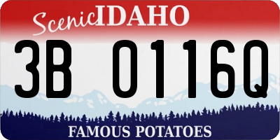 ID license plate 3B0116Q