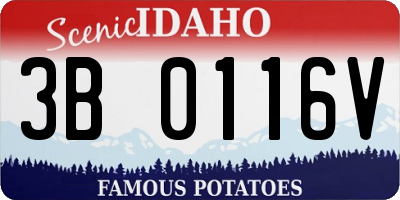 ID license plate 3B0116V