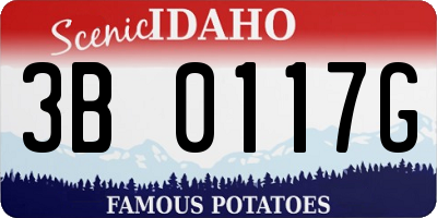 ID license plate 3B0117G