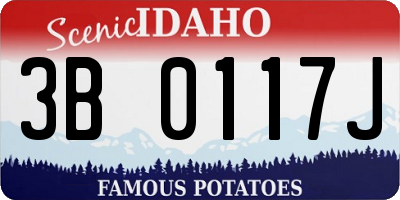 ID license plate 3B0117J