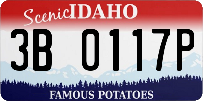 ID license plate 3B0117P