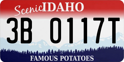 ID license plate 3B0117T