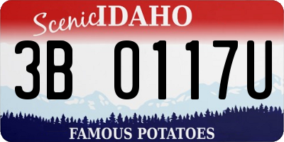 ID license plate 3B0117U