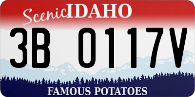 ID license plate 3B0117V