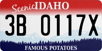 ID license plate 3B0117X