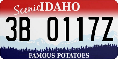 ID license plate 3B0117Z