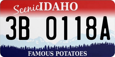 ID license plate 3B0118A