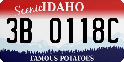 ID license plate 3B0118C