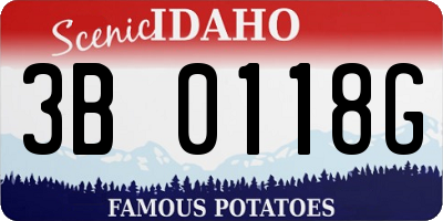 ID license plate 3B0118G