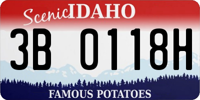 ID license plate 3B0118H