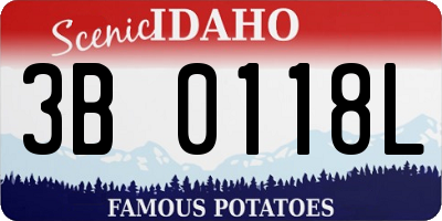 ID license plate 3B0118L