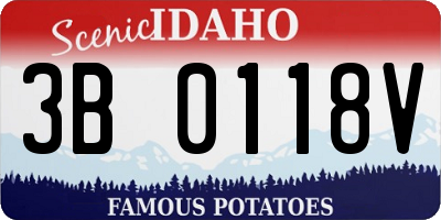 ID license plate 3B0118V