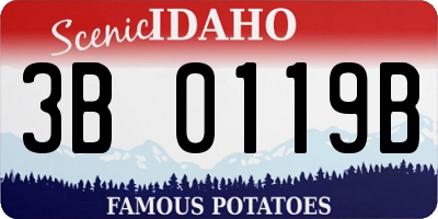 ID license plate 3B0119B