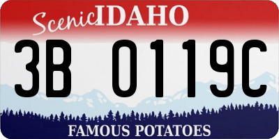 ID license plate 3B0119C