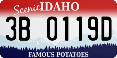 ID license plate 3B0119D