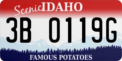 ID license plate 3B0119G