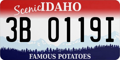 ID license plate 3B0119I