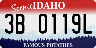 ID license plate 3B0119L